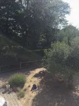 Family house with garden - Centre de Carteret - Homestays