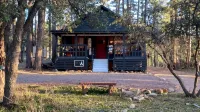Cozy Cabin in the tall Pines! True mountain cabin vibes!