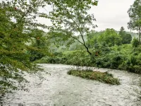 Tranquil sounds of the Dan River heard from the front porch or by the firepit. Hotels in Patrick County