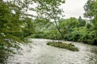 Tranquil sounds of the Dan River heard from the front porch or by the firepit.