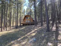 Golden Summers Cabin WIFI, Close to Lake Pactola - Hytter
