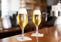 Hotel Goldener Hahn - Baarit