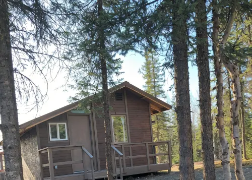 Cozy and Quiet One Bedroom Cabin 1/2 Mile Off Parks Highway Mile 57 in Houston.