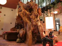 Mikado Hotels in Imabari
