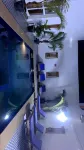 Touraco Suite Hôtel - piscina