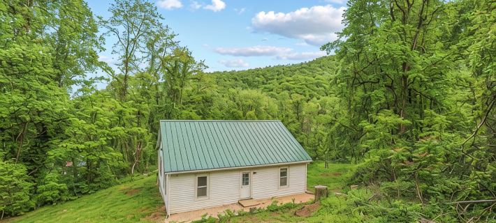 Charming 4-bedroom farmhouse in brilliant Roseland / The Hen House Hotels in Nelson County