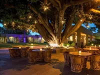 Camino Real Guadalajara Hotels near Zapopan