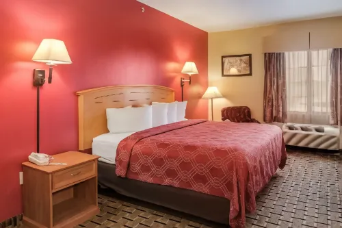 Econo Lodge Lubbock I-27 - Cho phép mang theo thú cưng