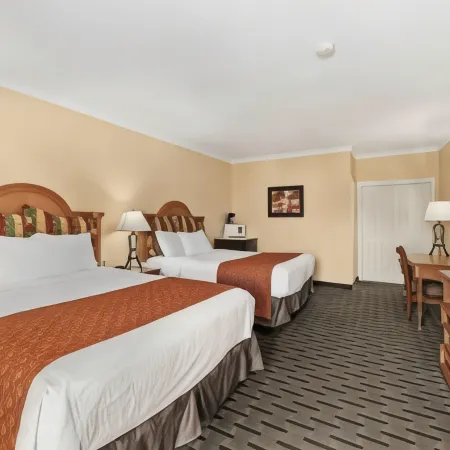 The Lemon Tree Hotel