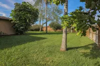 Villa Grande - Spacious Tropical Home - Triple Lot Fenced Yard! -  Habitaciones en casas particulares