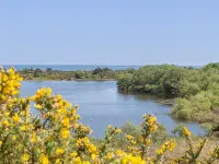 Studland Cottage Hotels in Studland