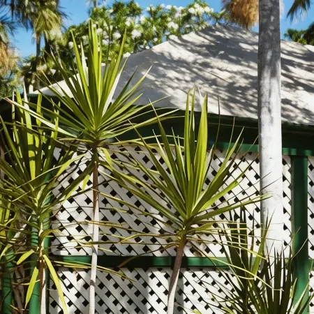 Pinctada McAlpine House