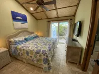 MI Oasis Getaway! Just 200 Steps to the Beach on a very quiet street - Villaer
