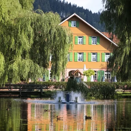 Hotel Zur Alten Mühle