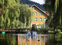 Hotel Zur Alten Mühle - 駐車場