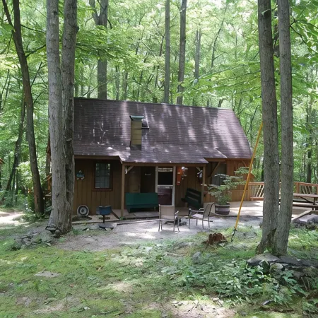 Rustic Mountain Retreat-Bear Paw