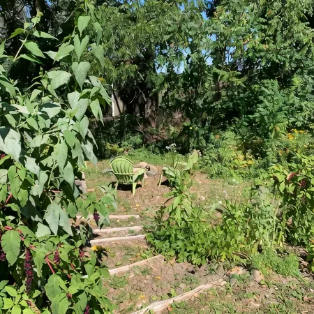 The Timber Garden Cottage
