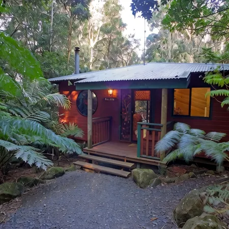 Springbrook Lyrebird Retreat Hotels in Springbrook