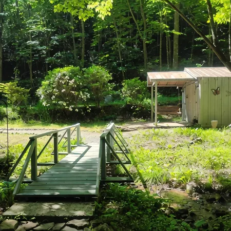A Secluded Cabin on a Babbling Brook