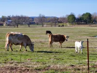 The Ranch House - 3 estrellas
