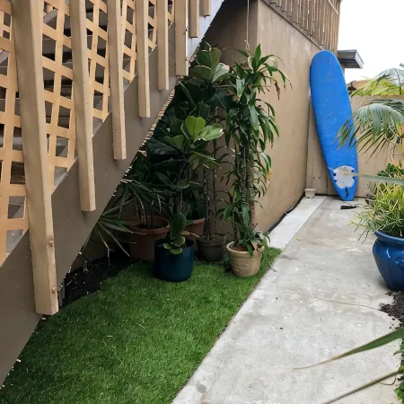 Oceanfront Dolphin Views at the Edge of the USA. 2-Bed 1-Bath Pet-Friendly.
