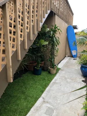 Oceanfront Dolphin Views at the Edge of the USA. 2-Bed 1-Bath Pet-Friendly. - 4 Sao