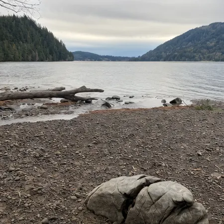 Galbraith Mountain Forest Escape