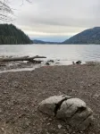 Galbraith Mountain Forest Escape - Holiday Apartments