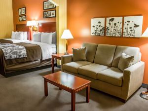Comfort Inn & Suites Ashland - Richmond North