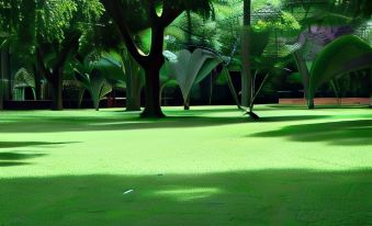a lush green park with trees and a pathway , providing a serene and natural environment at Country Inn Masindi