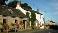 The Anchor Inn Hotels near Falconry Days