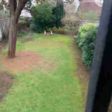 Albert Molière Hotel Exterior