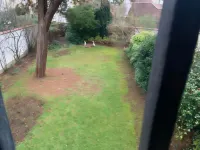 Albert Molière Hotels near Forest Park