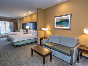 Holiday Inn Express & Suites Austin South