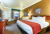 Comfort Inn & Suites San Francisco Airport North Hotels near Oyster Point Launch