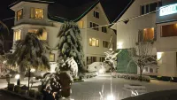 Hotel Mirage Hotels in Srinagar