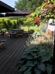 The New Court Inn Hotels in Llantrisant Fawr