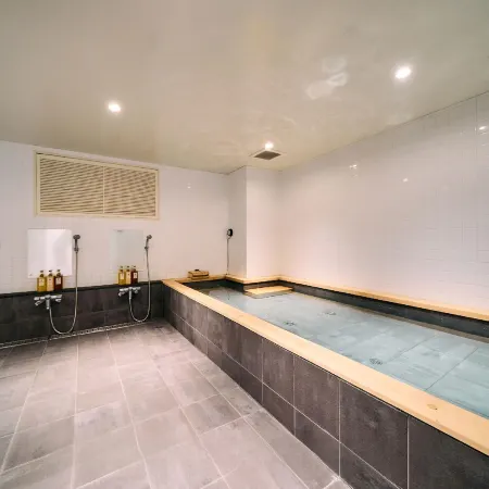 HOTEL PLUS HOSTEL TOKYO ASAKUSA 1
