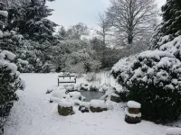 Rosemead Guest House