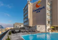 컴포트 인 다운타운 멤피스