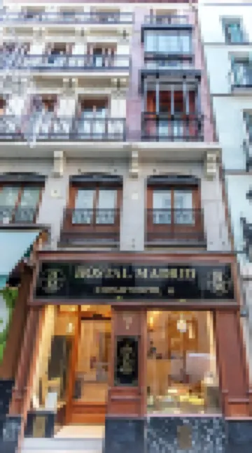 Hostal Madrid Hotels near Plaza Mayor