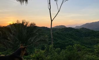 La Cima Tayrona