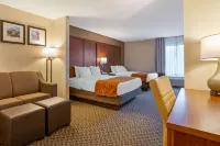 Comfort Suites South Haven Near I-96 Hotels in South Haven Charter Township