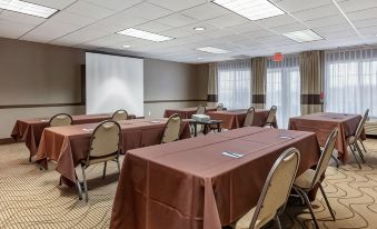 Comfort Inn & Suites Geneva- West Chicago