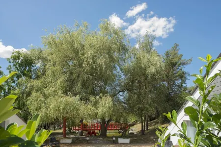 Hotel Tropical Отели в г. Grandhan