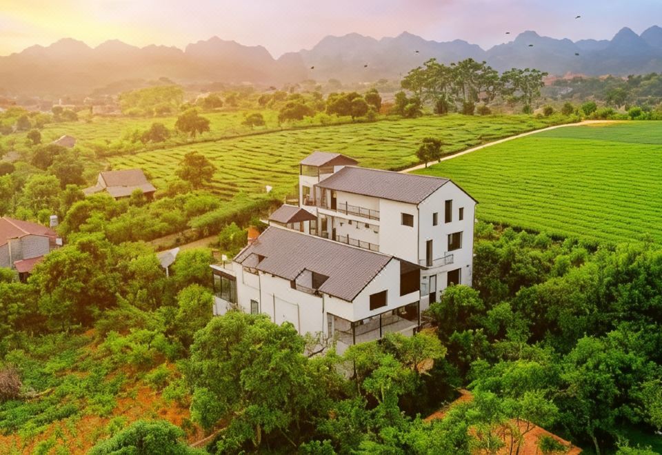 Moc Chau Cottage homestay