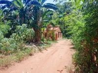 Amwani Garden