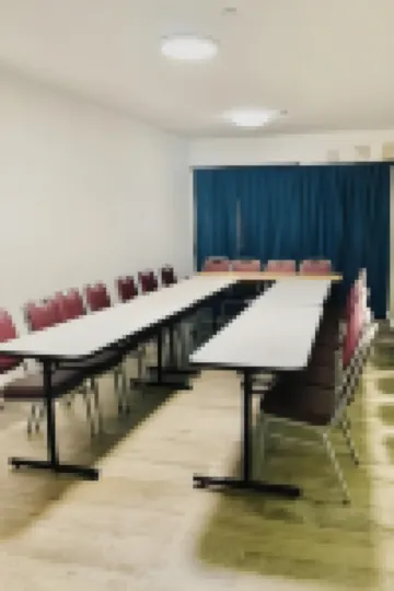 Hollywood Beach Flamingo