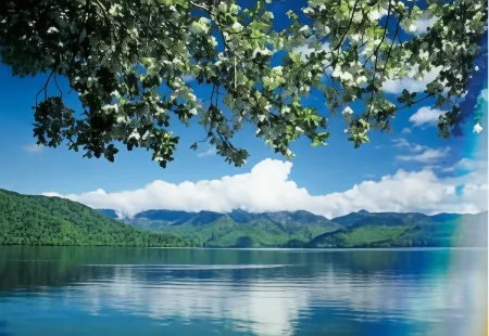 Pension Lakes Nikko Отели рядом с достопримечательностью «Chūzen-ji Temple»