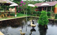 Bann Chompu Resort